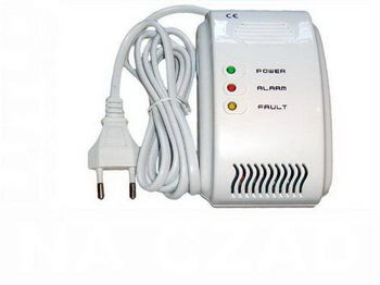 Detector de 2 gaze (CO+CH4) RCG411V